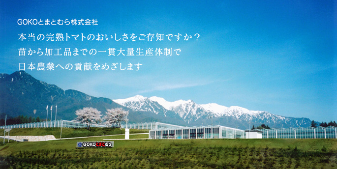 GOKOとまとむら株式会社／本当の完熟トマトのおいしさをご存知ですか？　苗から加工品まで一貫大量生産体制で日本農業への貢献をめざします